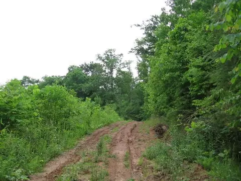306 S Fork Rd, Stanton, KY 40380 photo 8