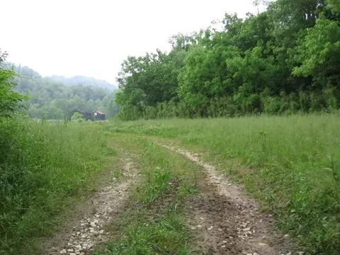 306 S Fork Rd, Stanton, KY 40380 photo 21