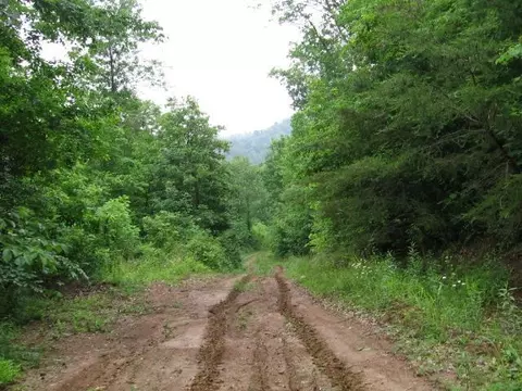 306 S Fork Rd, Stanton, KY 40380 photo 9