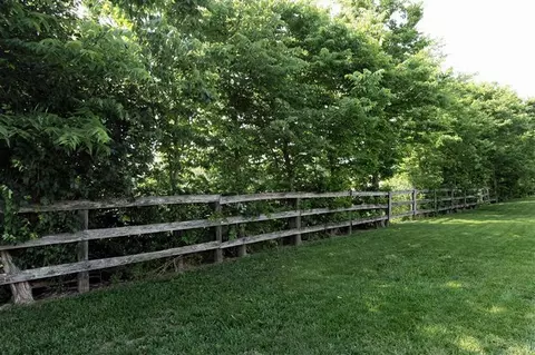 118 Placid Dr, Georgetown, KY 40324 photo 27