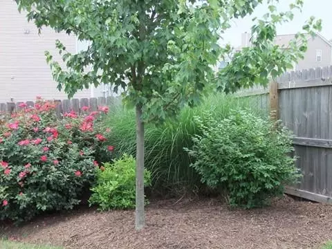 108 Vale Ln, Georgetown, KY 40324 photo 5