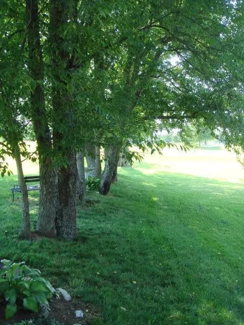 133 Stone Wall Path, Georgetown, KY 40324 photo 32