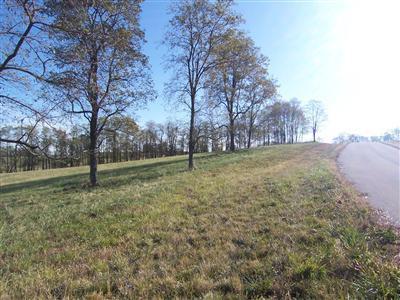 113 Collins Risk Rd, Georgetown, KY 40324 photo 4