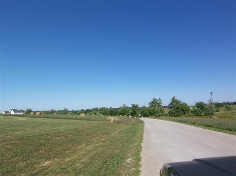 113 Collins Risk Rd, Georgetown, KY 40324 photo 11