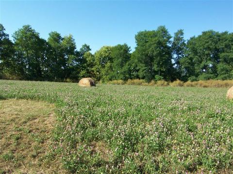 113 Collins Risk Rd, Georgetown, KY 40324 photo 7