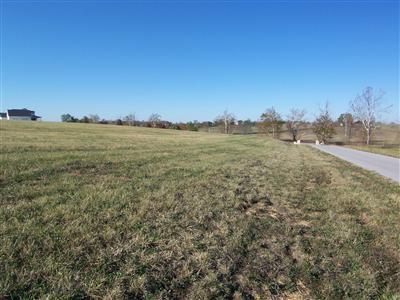 113 Collins Risk Rd, Georgetown, KY 40324 photo 3