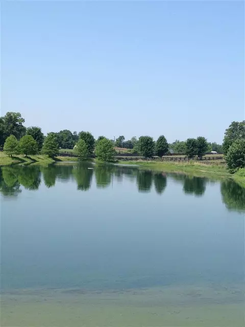 129 Neel Ln, Georgetown, KY 40324 photo 5