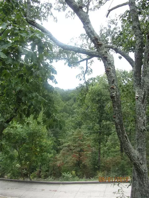 199 Bragg Ln, Berea, KY 40403 photo 64