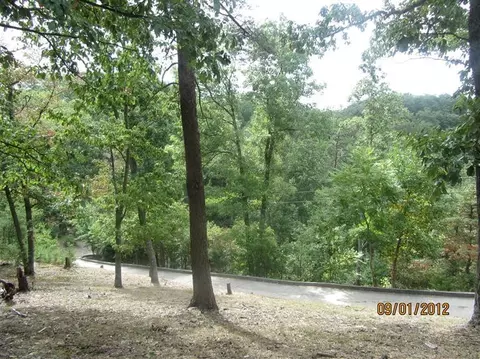 199 Bragg Ln, Berea, KY 40403 photo 61