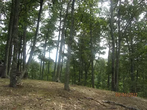 199 Bragg Ln, Berea, KY 40403 photo 63