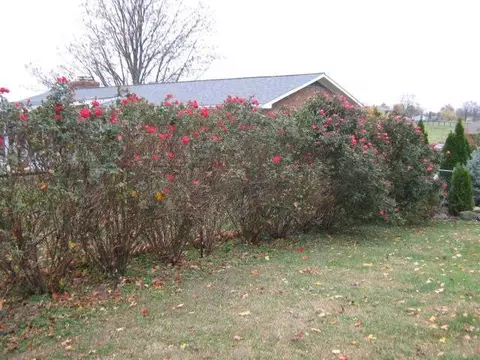 123 Bourbon Acres Rd, Paris, KY 40361 photo 53