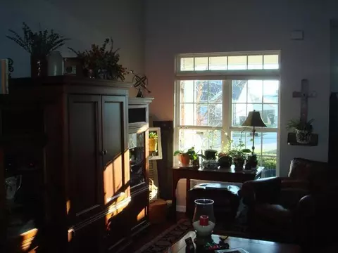104 Sardula Pl, Georgetown, KY 40324 photo 7
