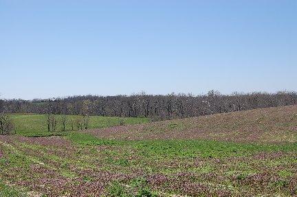 2139 Fishers Mill Rd, Georgetown, KY 40324 photo 5