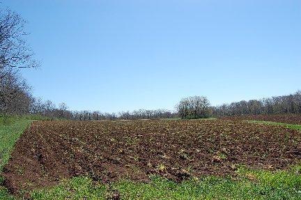 2139 Fishers Mill Rd, Georgetown, KY 40324 photo 3