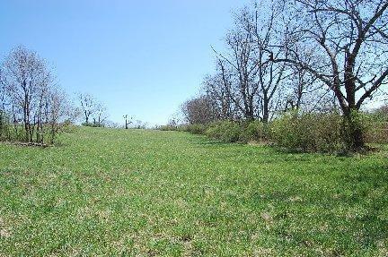 2139 Fishers Mill Rd, Georgetown, KY 40324 photo 9