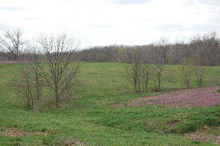 2139 Fishers Mill Rd, Georgetown, KY 40324 photo 4