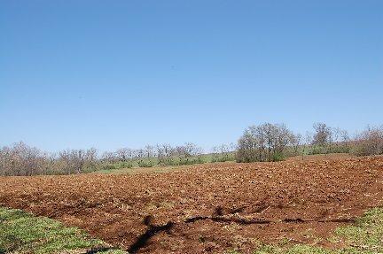 2139 Fishers Mill Rd, Georgetown, KY 40324 photo 7