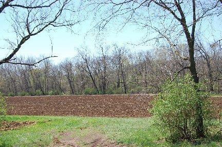 2139 Fishers Mill Rd, Georgetown, KY 40324 photo 8
