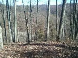 12875 N Wilderness Rd, Berea, KY 40403 photo 18