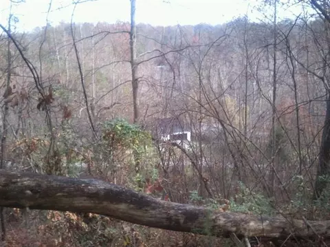 12875 N Wilderness Rd, Berea, KY 40403 photo 17