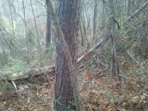 12875 N Wilderness Rd, Berea, KY 40403 photo 21