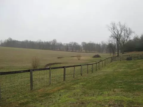 394 Steele Rd, Paris, KY 40361 photo 33