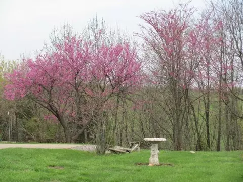 4391 Cincinnati Rd, Georgetown, KY 40324 photo 22