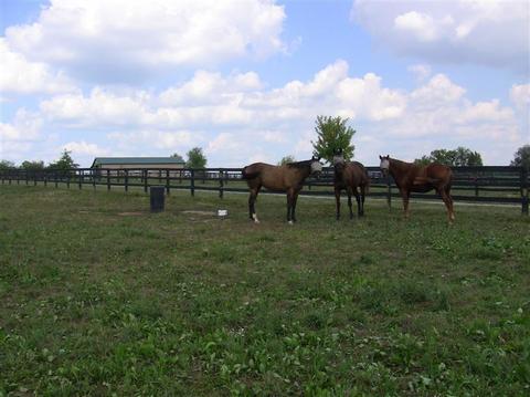 2000 Stamping Ground, Georgetown, KY 40324 photo 26