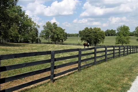 2000 Stamping Ground, Georgetown, KY 40324 photo 23