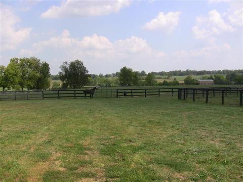 2000 Stamping Ground, Georgetown, KY 40324 photo 29