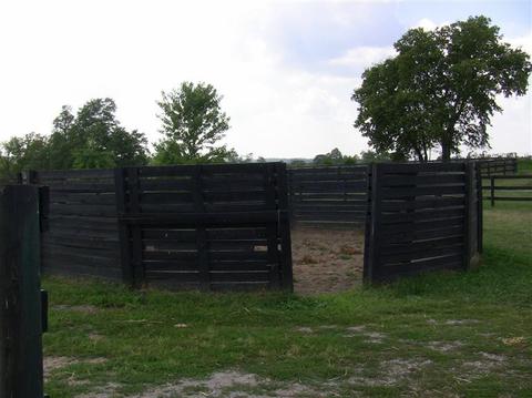 2000 Stamping Ground, Georgetown, KY 40324 photo 28