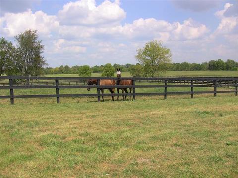 2000 Stamping Ground, Georgetown, KY 40324 photo 30