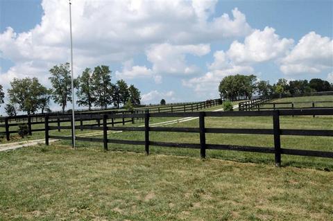 2000 Stamping Ground, Georgetown, KY 40324 photo 19