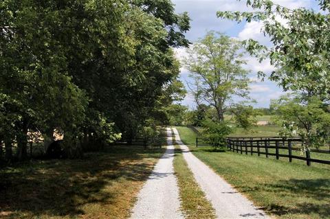 2000 Stamping Ground, Georgetown, KY 40324 photo 2
