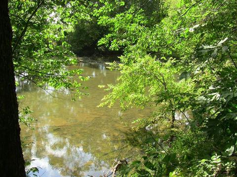 2000 Stamping Ground, Georgetown, KY 40324 photo 17