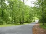 3758 E Fork Rd, Means, KY 40346 photo 14
