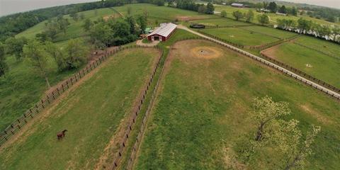 1300 Carrick Pike, Georgetown, KY 40324 photo 31