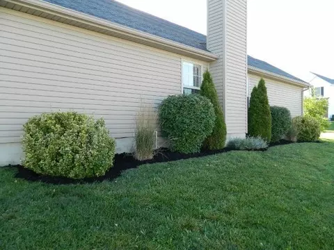 101 Baldwin Ter, Georgetown, KY 40324 photo 22