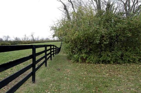 795 Bethlehem Rd, Paris, KY 40361 photo 50