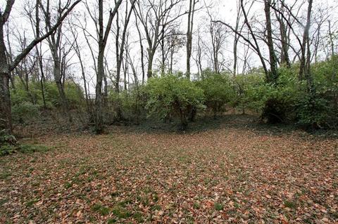795 Bethlehem Rd, Paris, KY 40361 photo 53