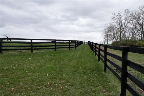 795 Bethlehem Rd, Paris, KY 40361 photo 49
