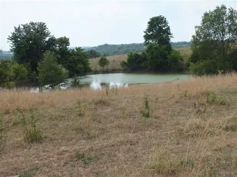 4290 Bloomfield Rd, Springfield, KY 40069 photo 3