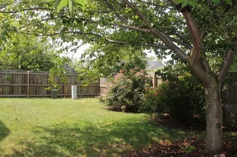 183 Ransom Trce, Georgetown, KY 40324 photo 19