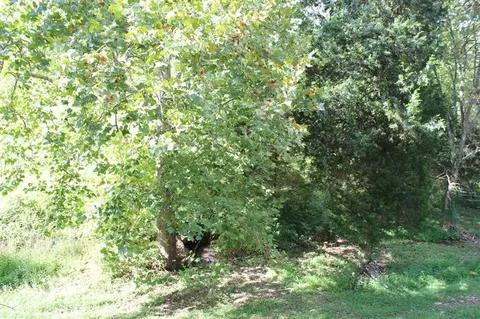 306 Bethlehem Rd, Waco, KY 40385 photo 17