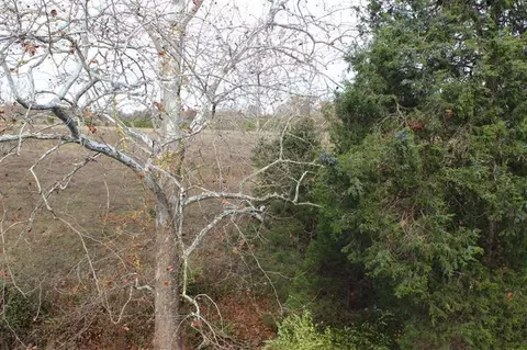 306 Bethlehem Rd, Waco, KY 40385 photo 43