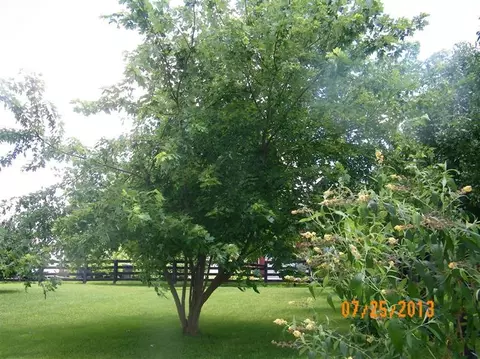 168 Richfield Ave, Georgetown, KY 40324 photo 11