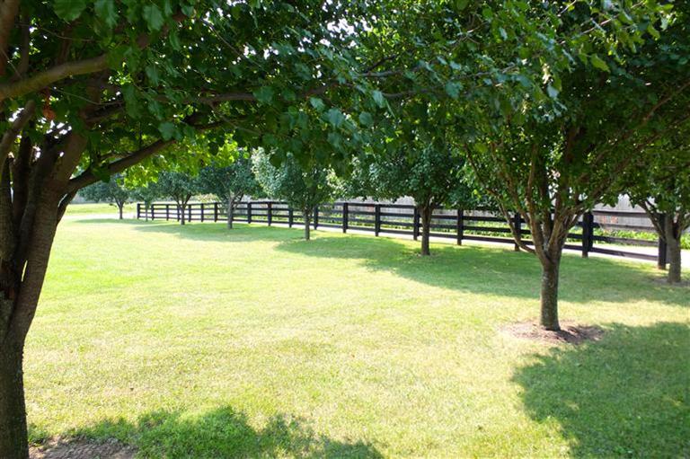 1092 Lemons Ml, Georgetown, KY 40324 photo 26
