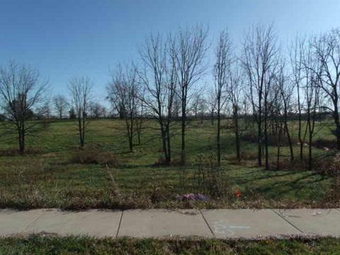 136 Fallow Cir, Georgetown, KY 40324 photo 1