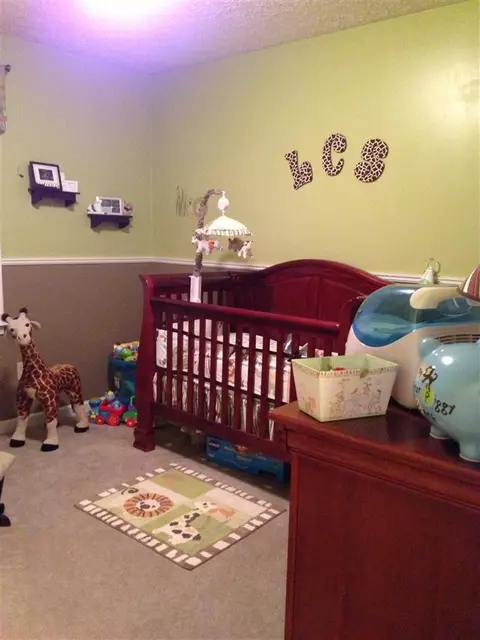 147 Dreyfus, Berea, KY 40403 photo 50