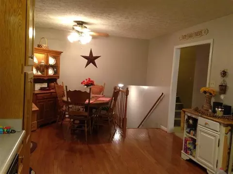 147 Dreyfus, Berea, KY 40403 photo 47